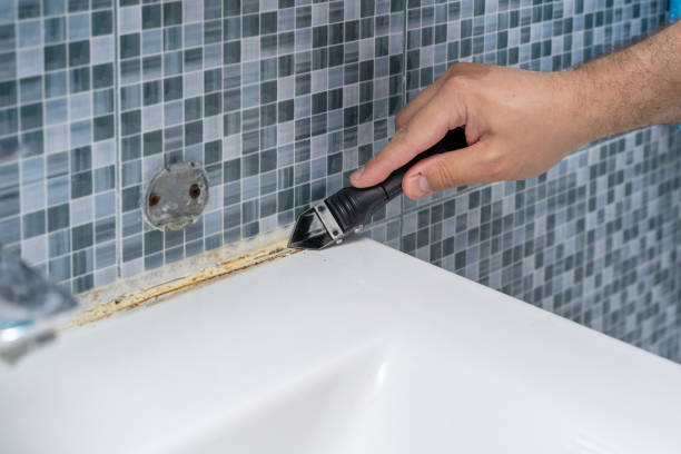 Best Office Mold Removal Services  in Omro, WI